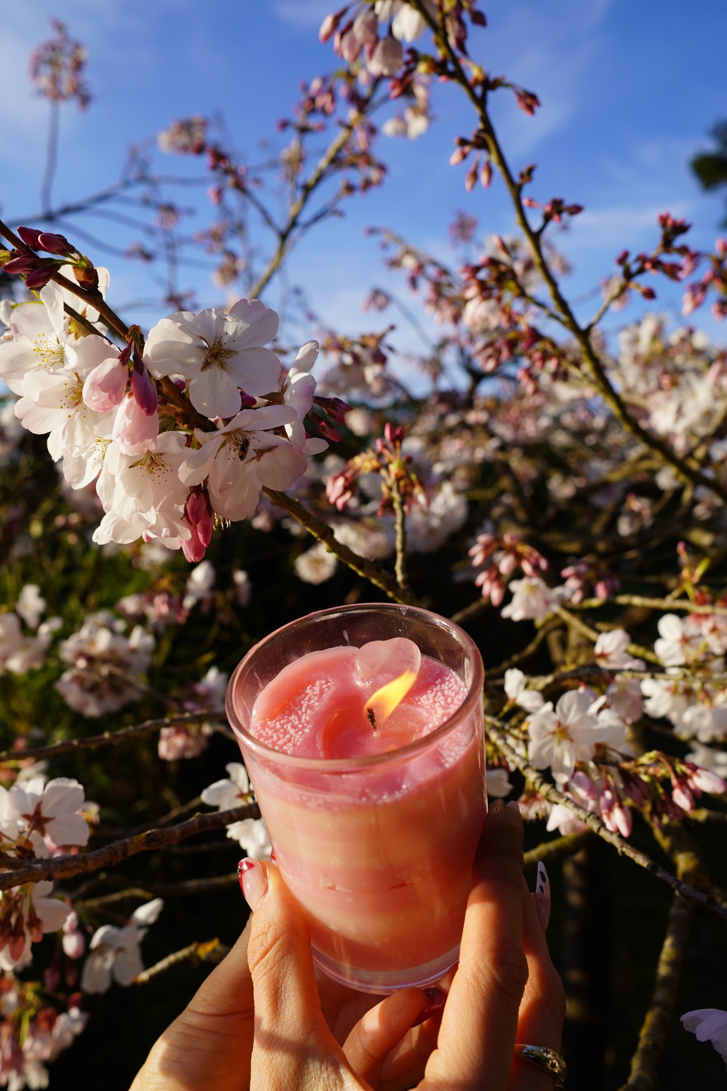 π Strawberries & Cream Body Oil Massage Candle (Limited Edition Spring 2025) π